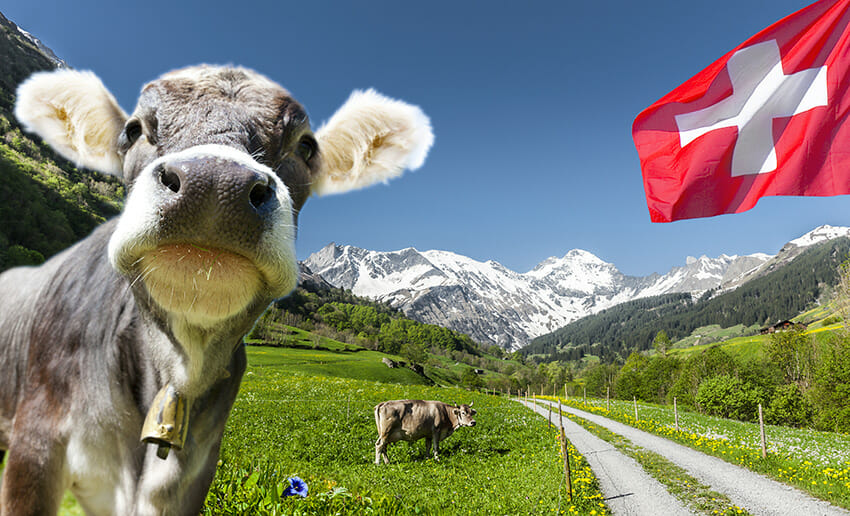 Découvrir la suisse