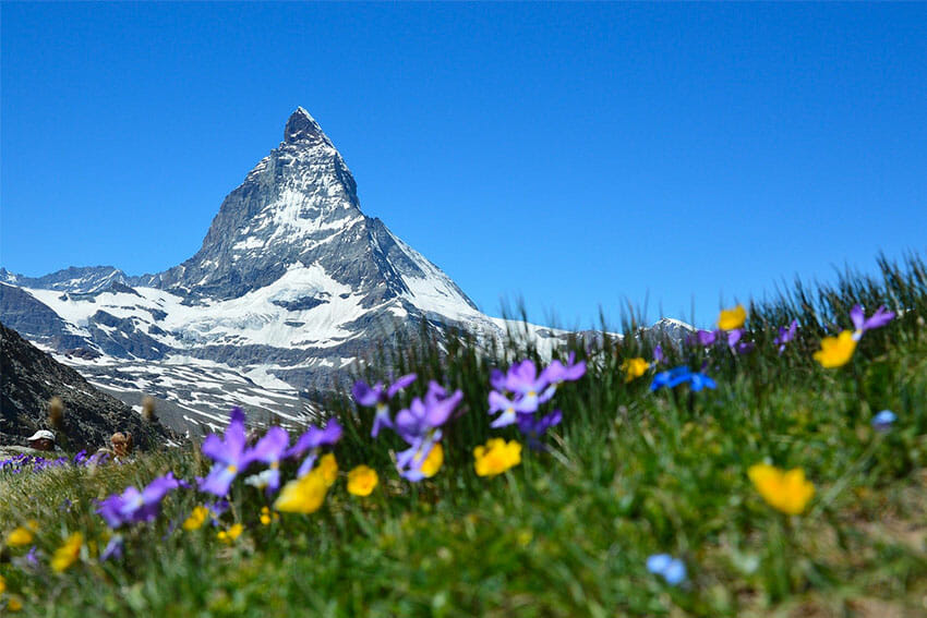 Vue sur Zermatt Suisse