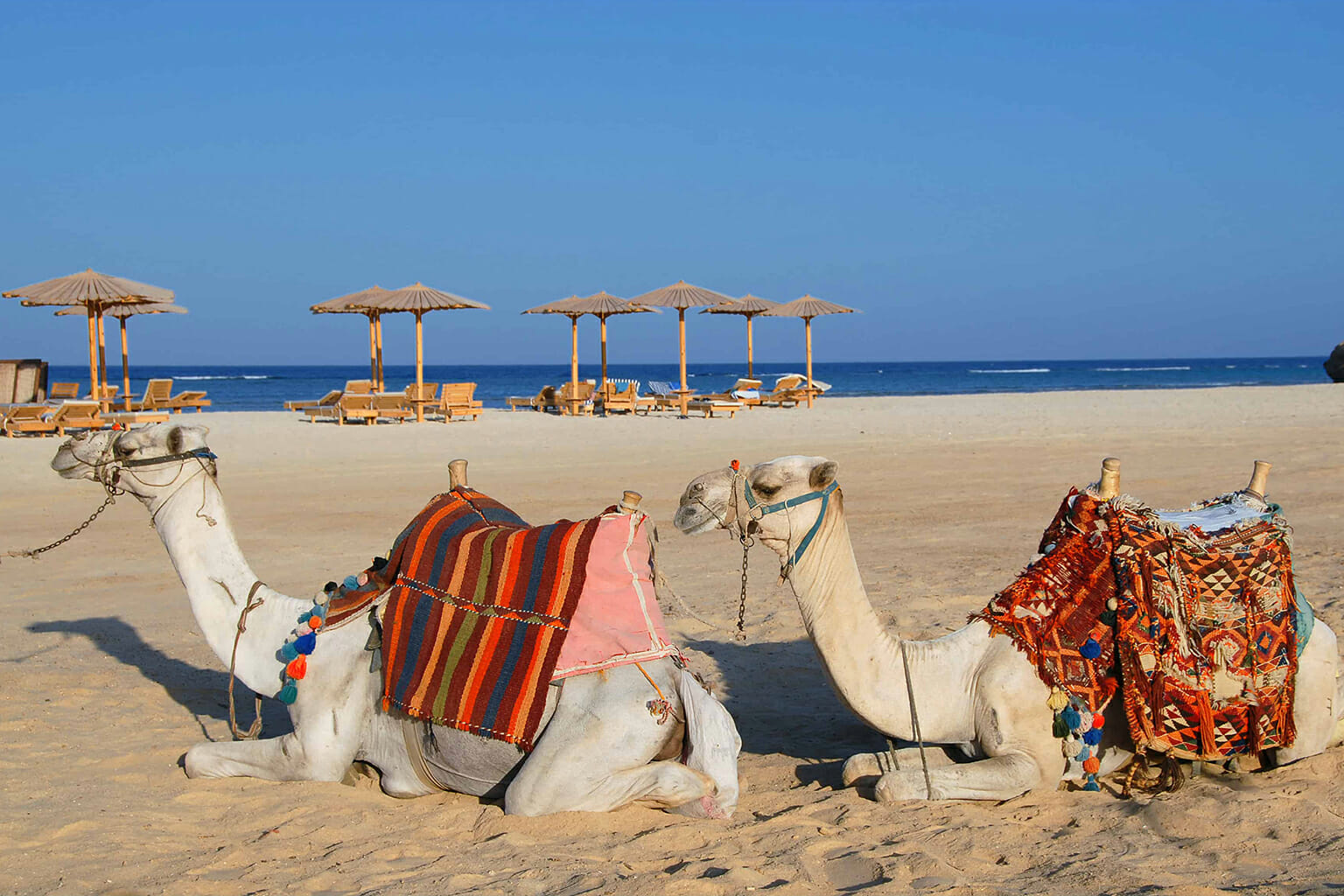 Image Maroc