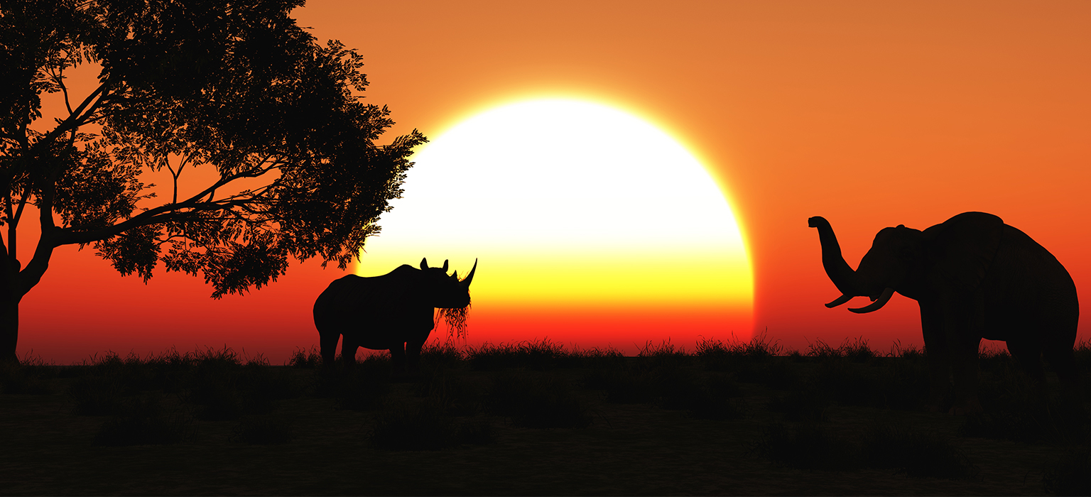 Afrique