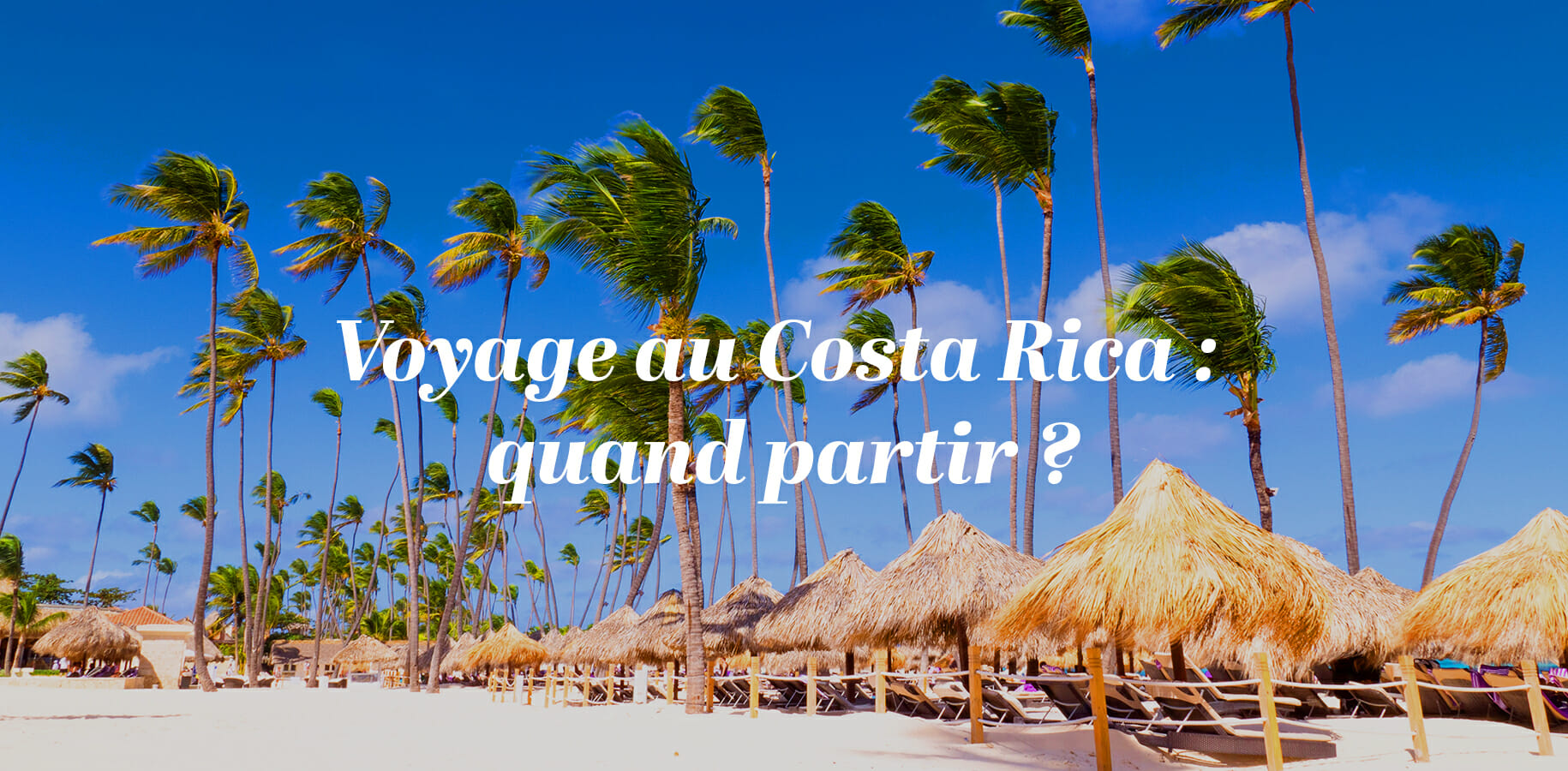 Voyage au Costa Rica : quand partir ?