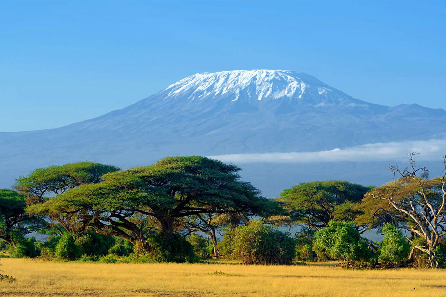 Kilimandjaro