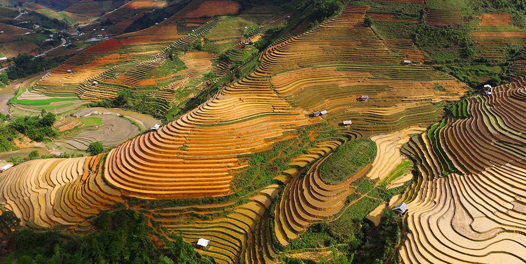 Chế Cu Nha