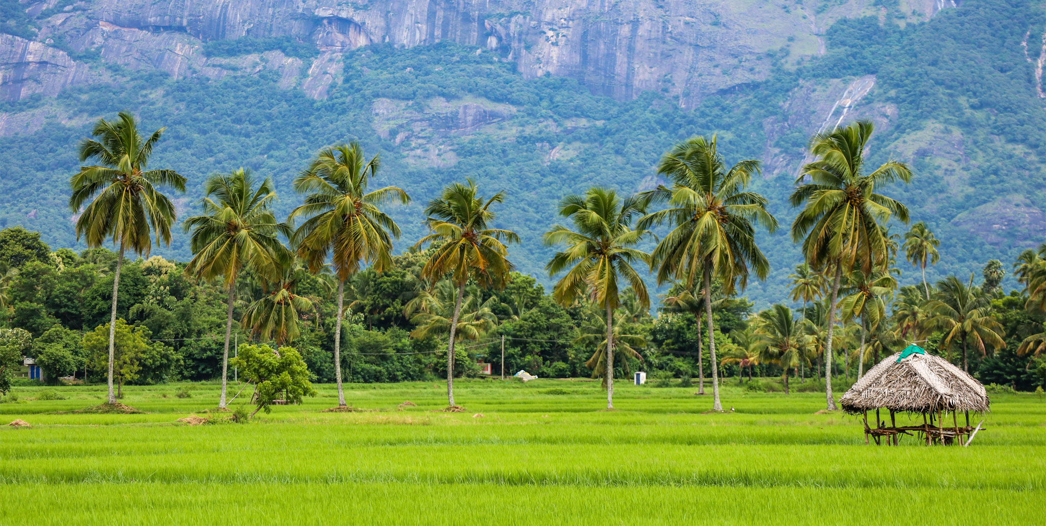 Voyage en inde conseils