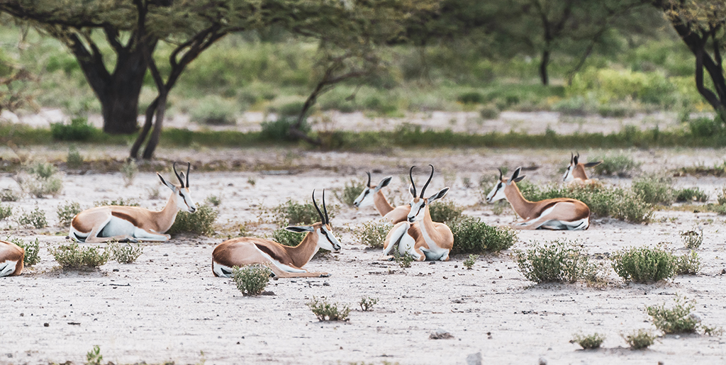 Namibie
