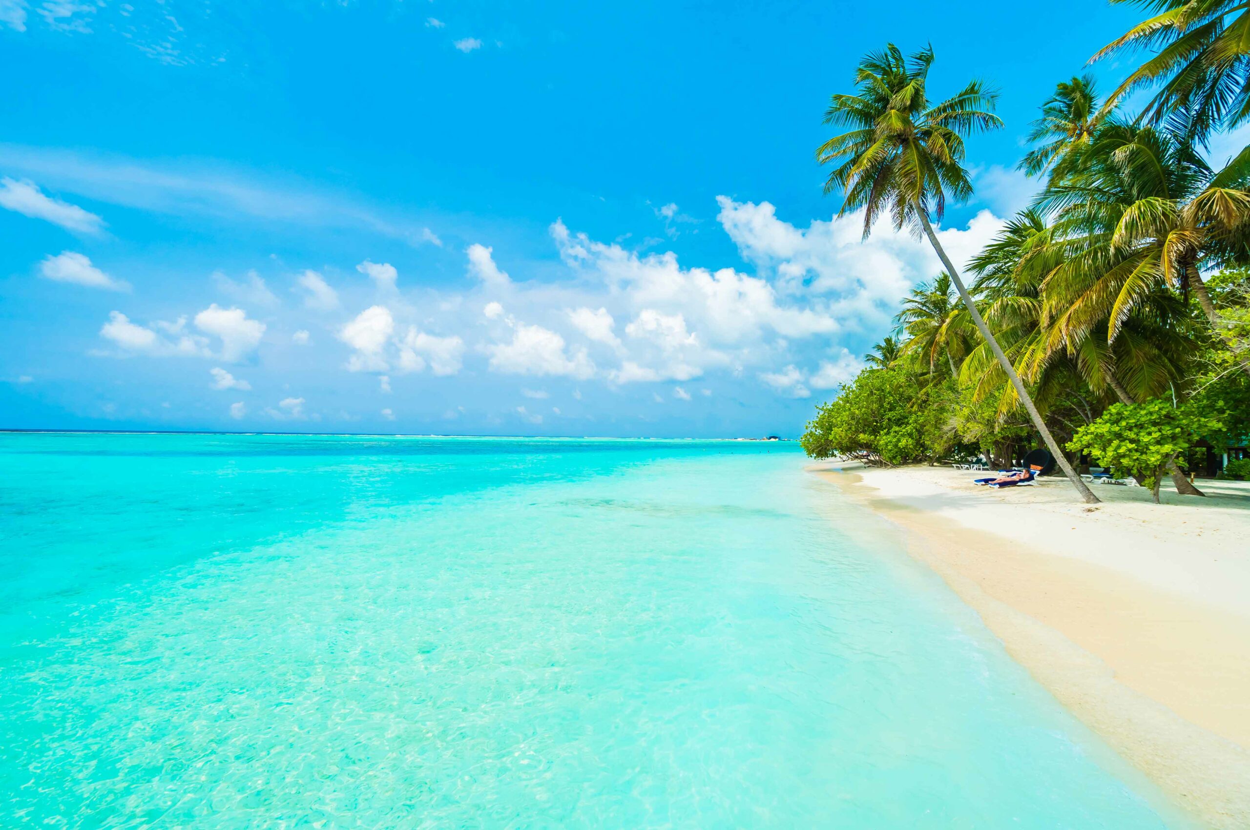 Vacances d'hiver