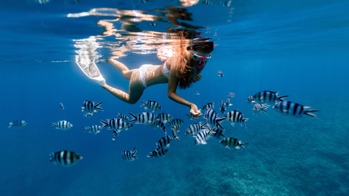 femme qui effectue de la plongée avec des poissons