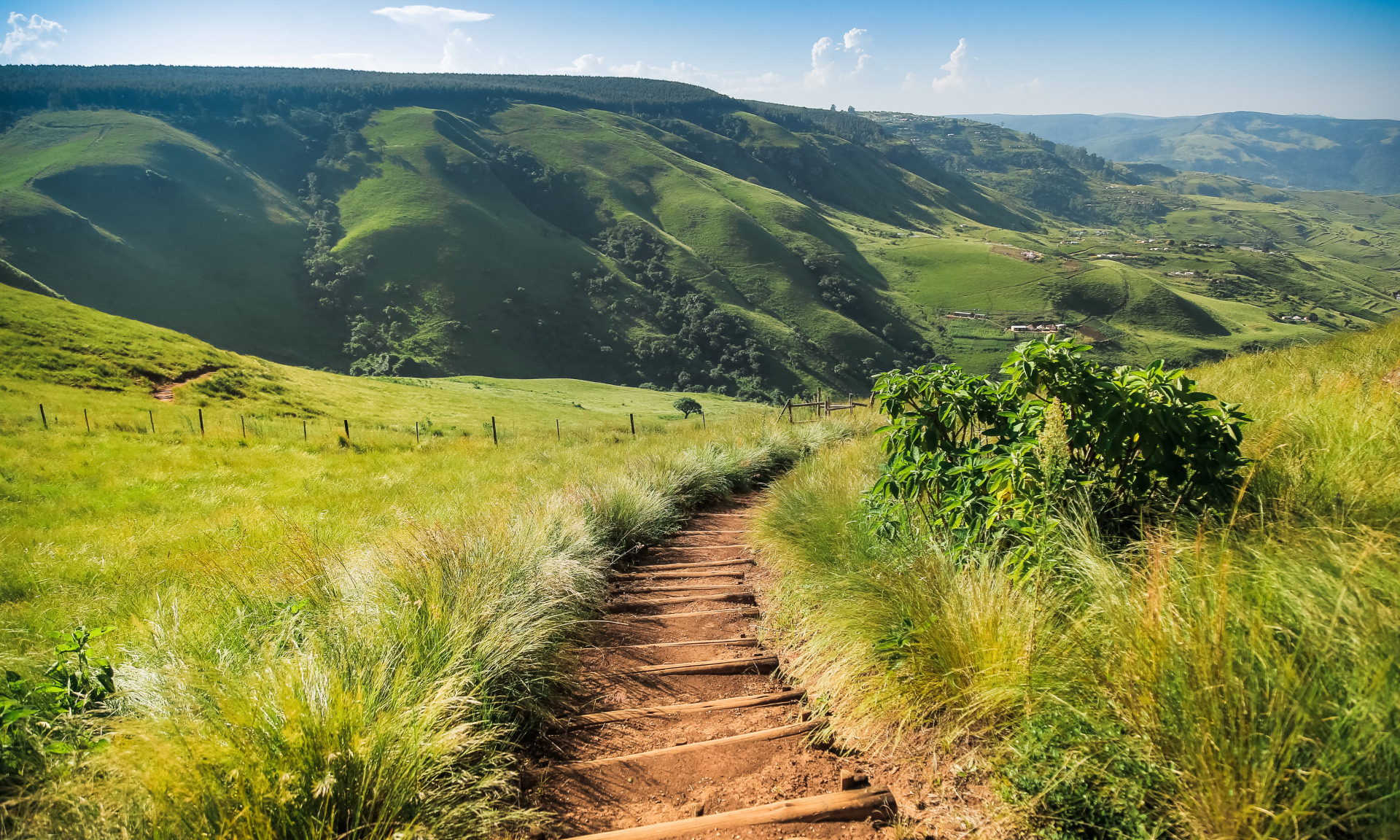 un chemin tracé dans les montagnes
