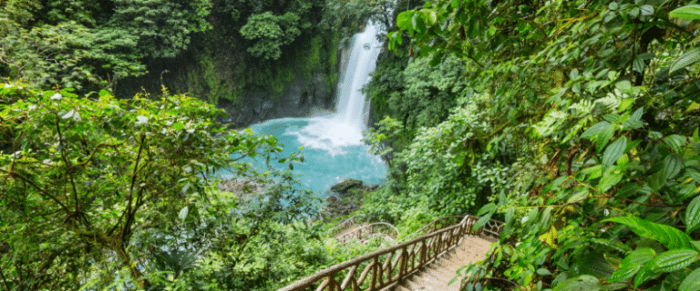 Design sans titre 17.png