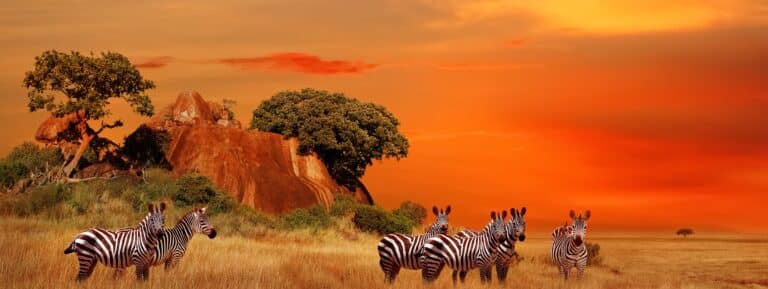 Aventure en famille en Afrique du Sud