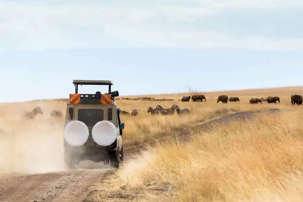 kenya safari landrover