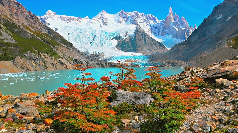 Argentine