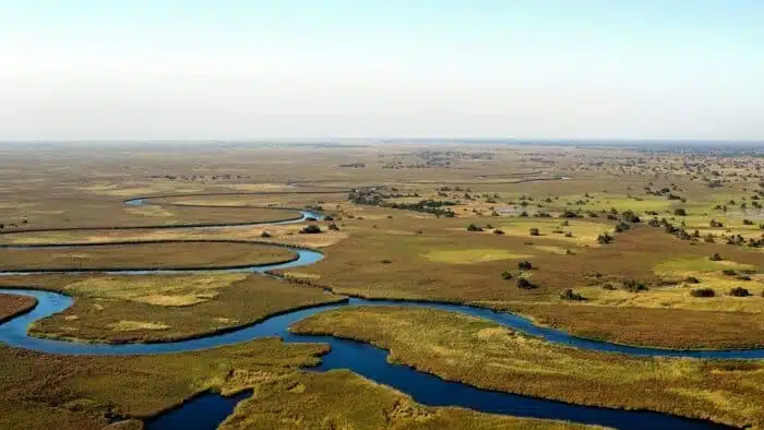 Delta okavango 700x394