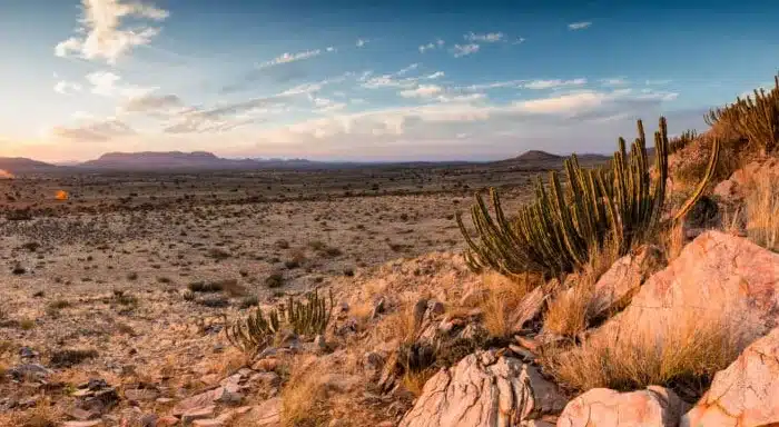Paysage Desert 700x394