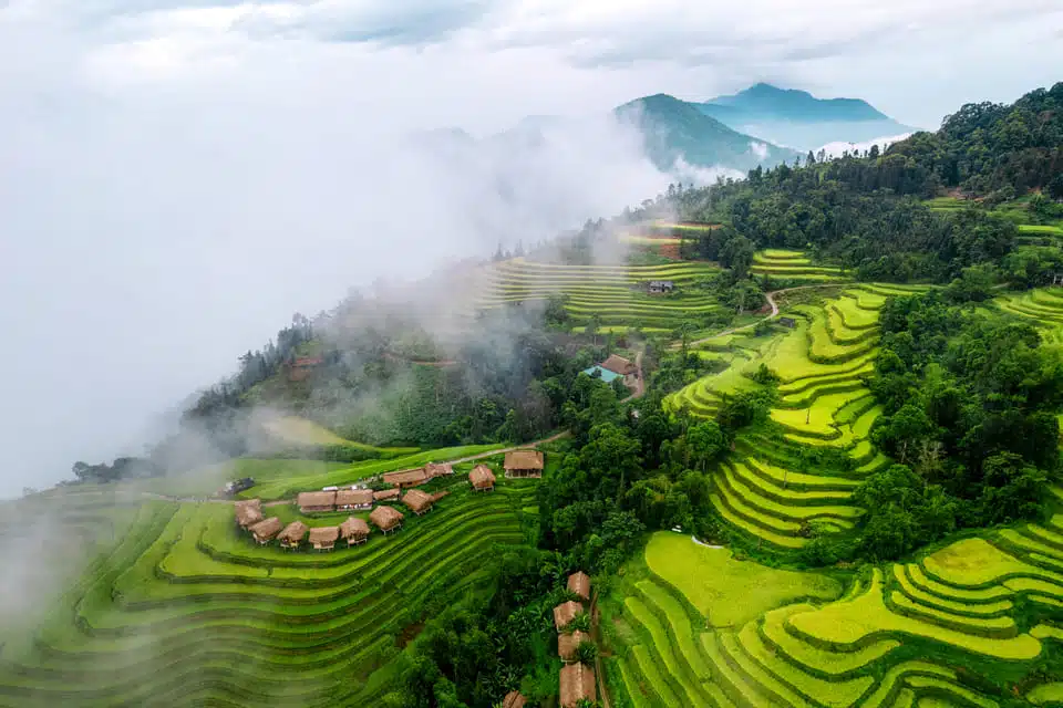 vietnam terrasses sapa vietnam terrasses sapa