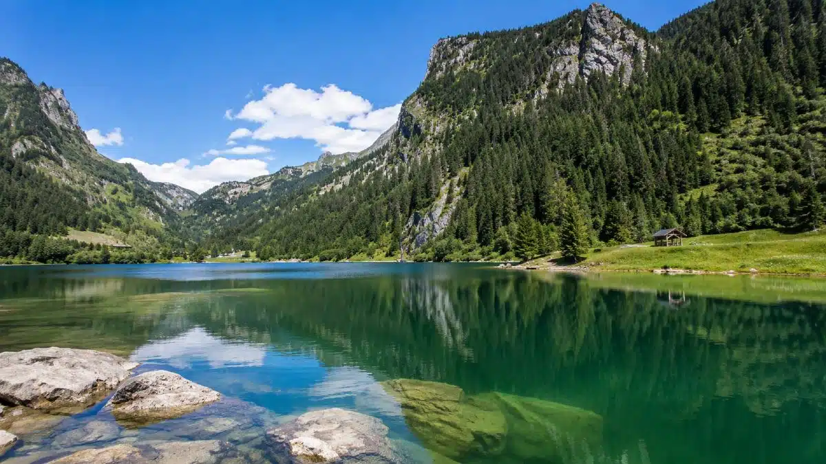 Lac de Taney en Valais un jour d'été, ciel bleu dégagé, eau turquoise calme reflétant les falaises et la forêt environnantes