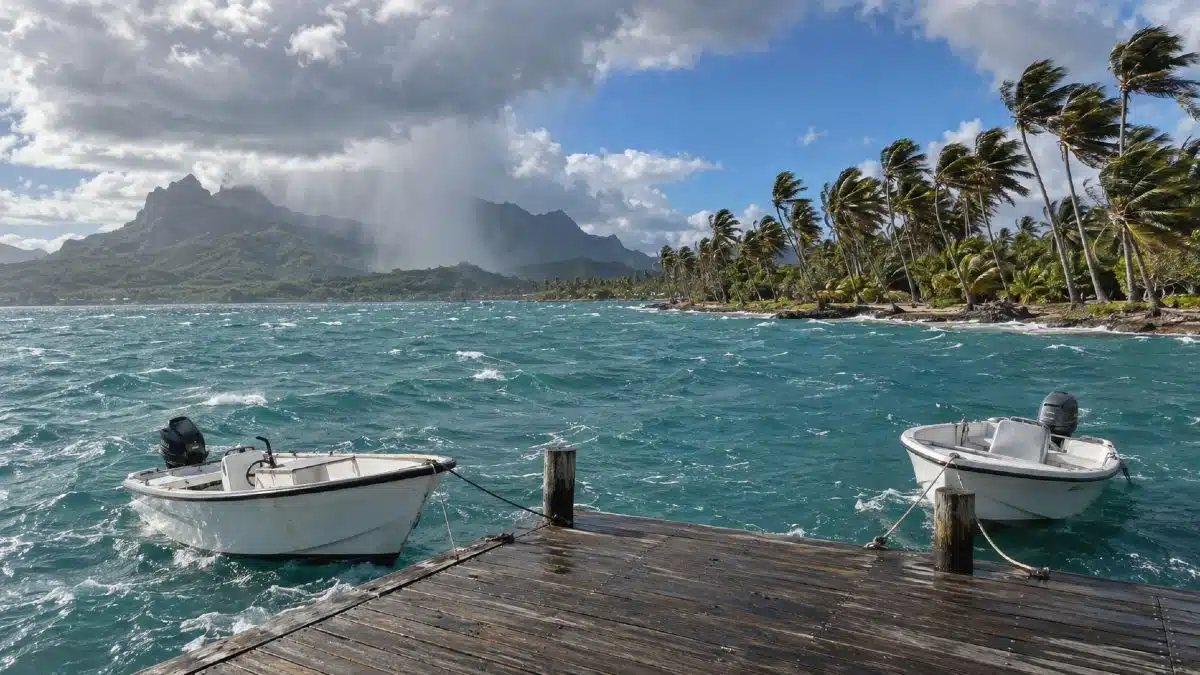 Jour de Mara'amu sur une côte sud de Tahiti, lagon agité par le vent de sud-est et cocotiers couchés